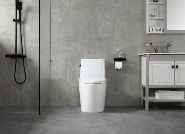 12" Installation from Finished Wall, One-piece Toilet - Vasca Design