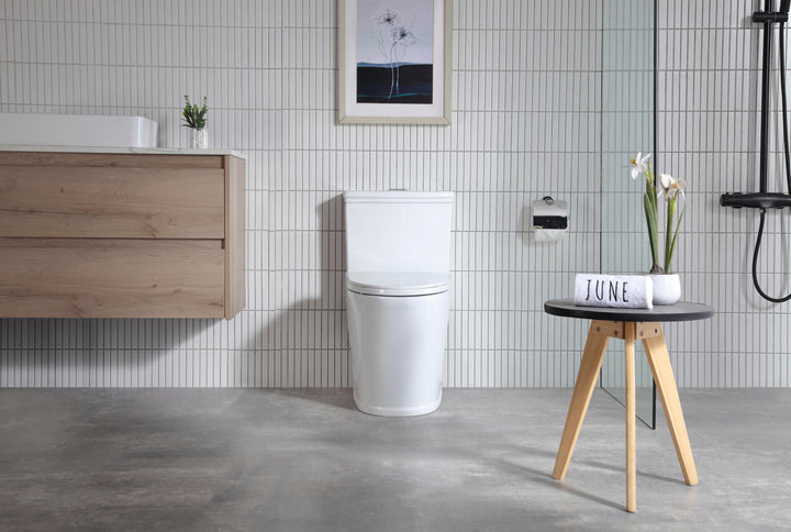 One-piece Dual-Flush Toilet - Vasca Design