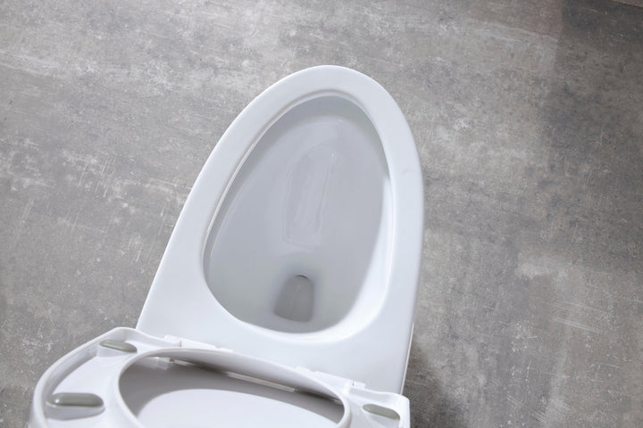 One-piece Dual-Flush Toilet - Vasca Design