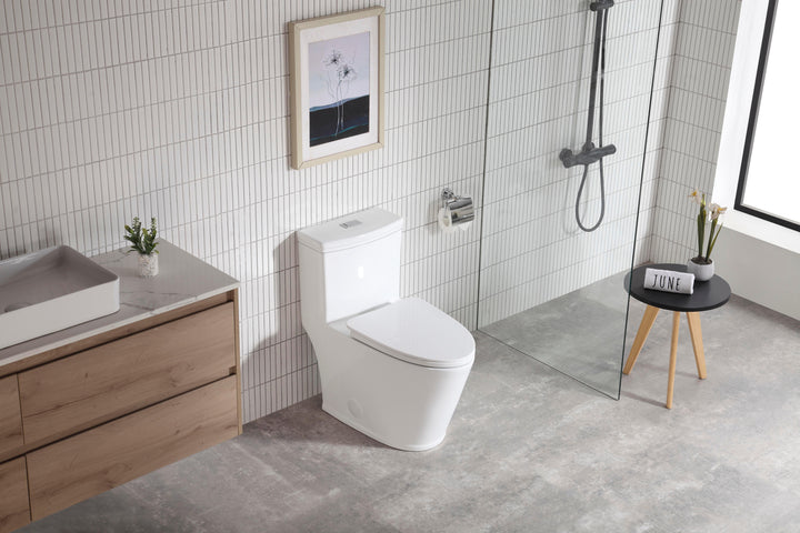 One-piece Dual-Flush Toilet - Vasca Design