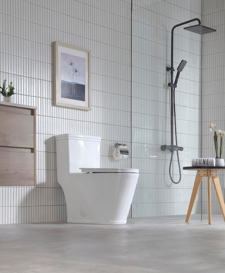 One-piece Dual-Flush Toilet - Vasca Design