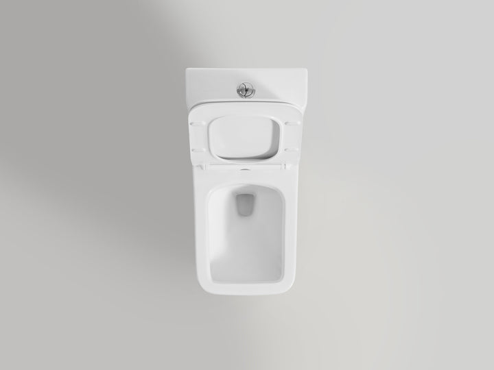 One-piece Dual-Flush Toilet with square seat - Vasca Design