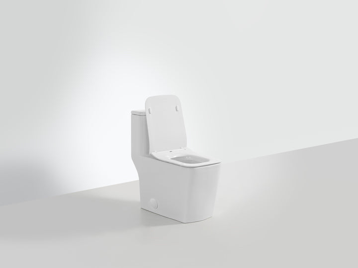 One-piece Dual-Flush Toilet with square seat - Vasca Design