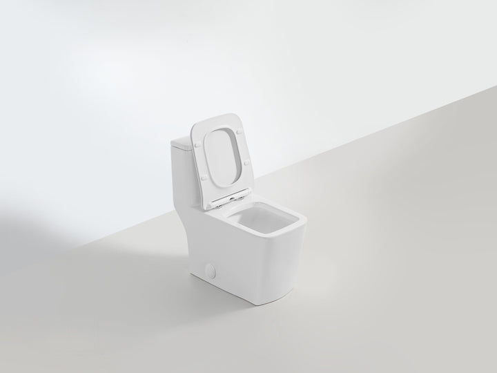 One-piece Dual-Flush Toilet with square seat - Vasca Design