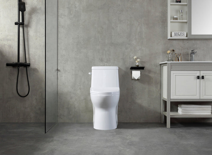 One-piece Single Flush Toilet - Vasca Design