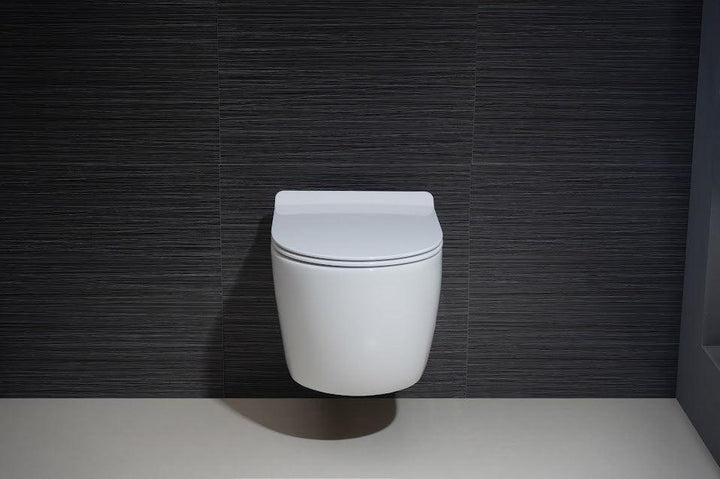 White Round Mounted Toilet - Vasca Design