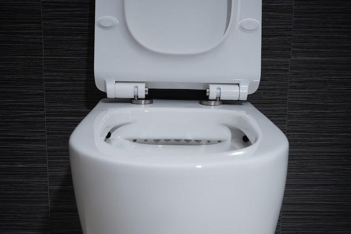 White Round Mounted Toilet - Vasca Design