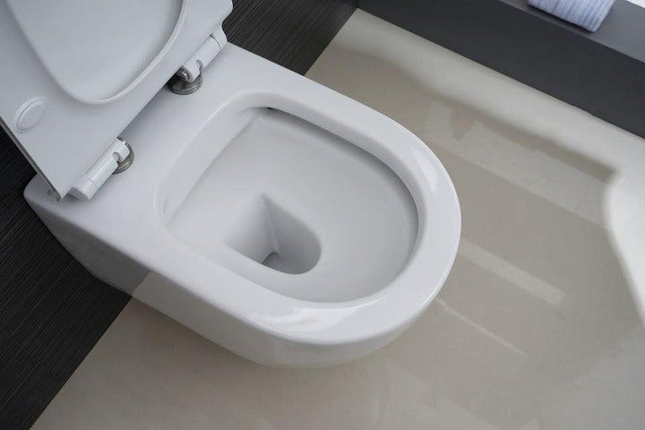 White Round Mounted Toilet - Vasca Design