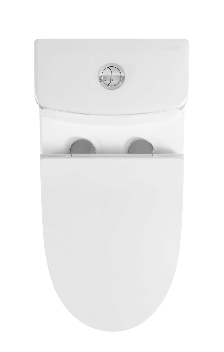 One-Piece Toilet - 10" Installation From Finished Wall (IM-0310) - Vasca Design