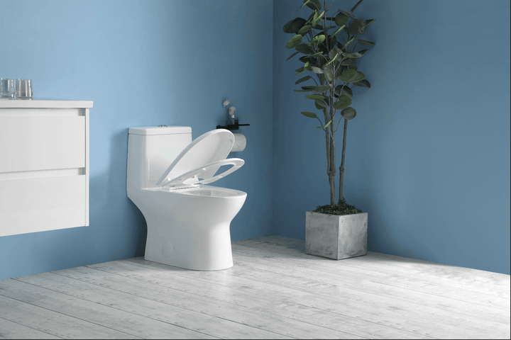 One-Piece Toilet - 10" Installation From Finished Wall (IM-0310) - Vasca Design