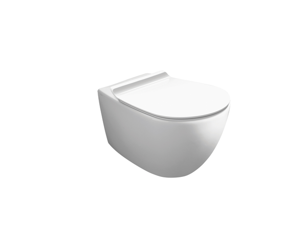 COMBO Vignoni Wall Hung Toilet & OLI Carrier